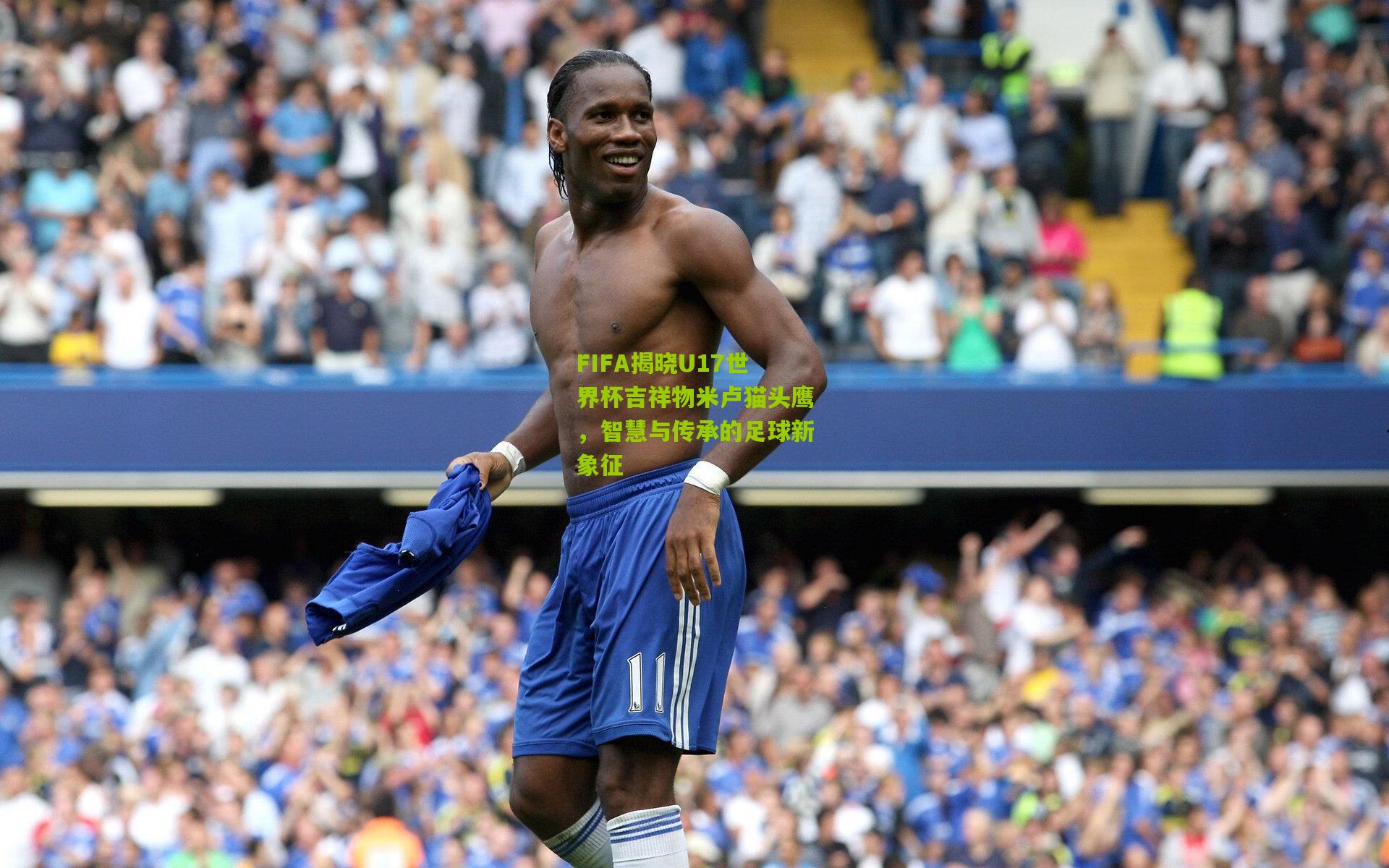 FIFA揭晓U17世界杯吉祥物米卢猫头鹰，智慧与传承的足球新象征